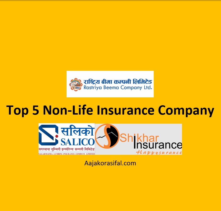 Top 5 Non-Life Insurance Companies