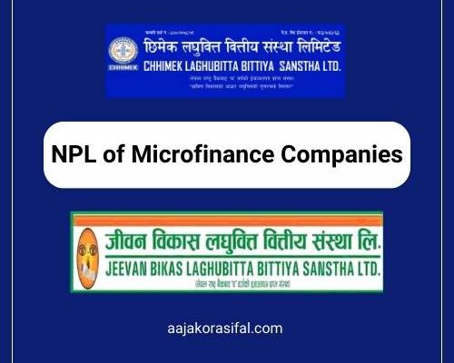 NPL of Microfinance Companies