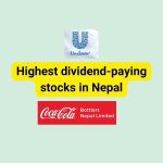  Top 10 highest dividend paying stocks in Nepal