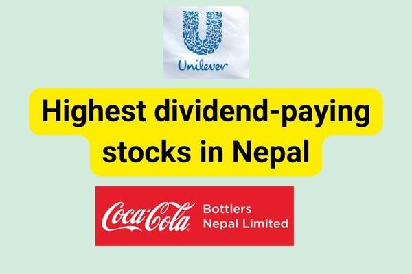  Top 10 highest dividend paying stocks in Nepal